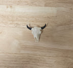 Copper State Bison Mini Skull