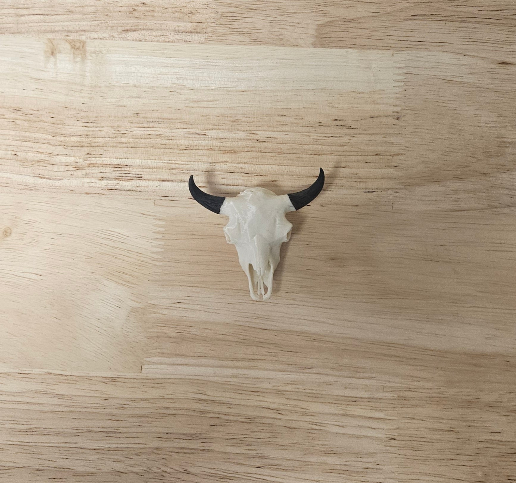 Copper State Bison Mini Skull