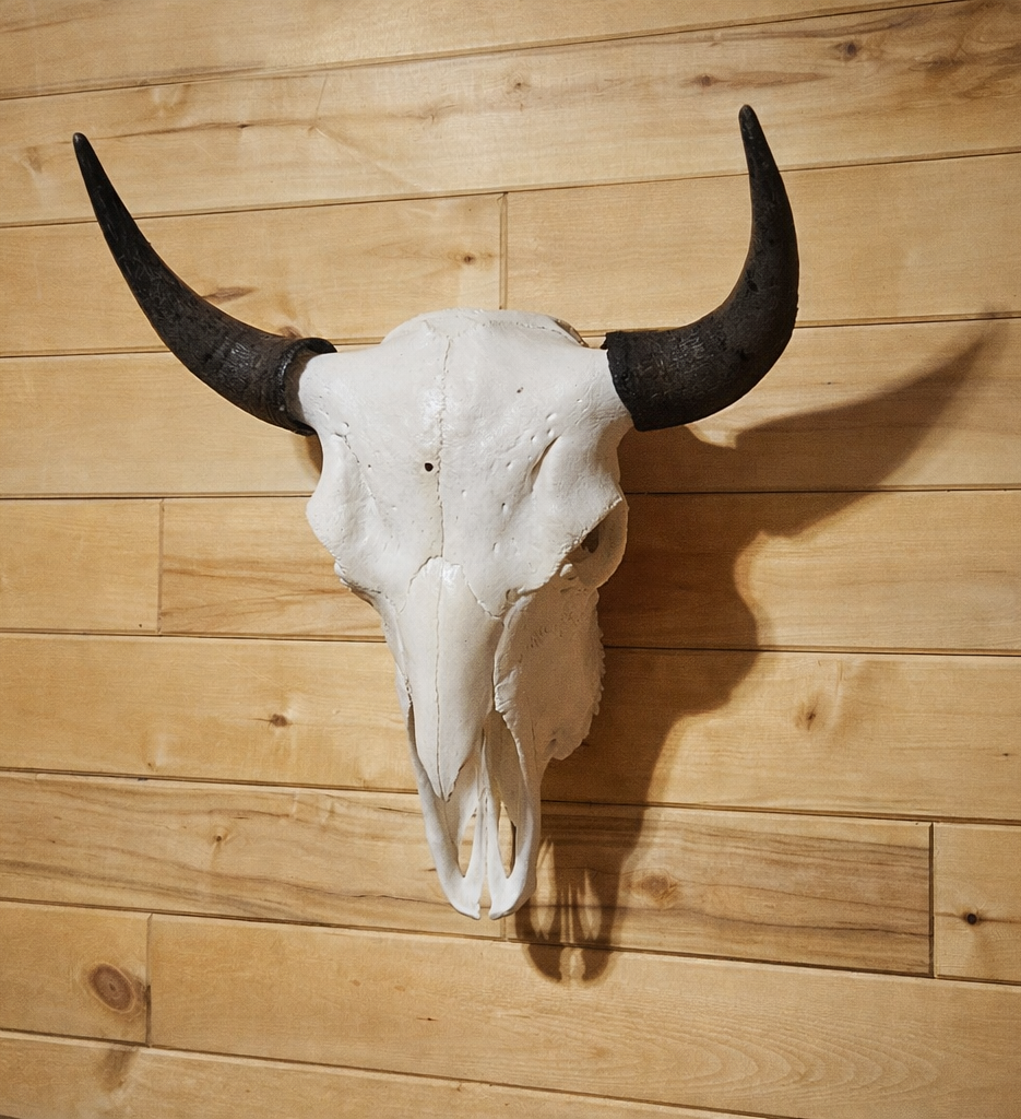 Copper State Bison Skull
