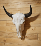 Copper State Bison Skull